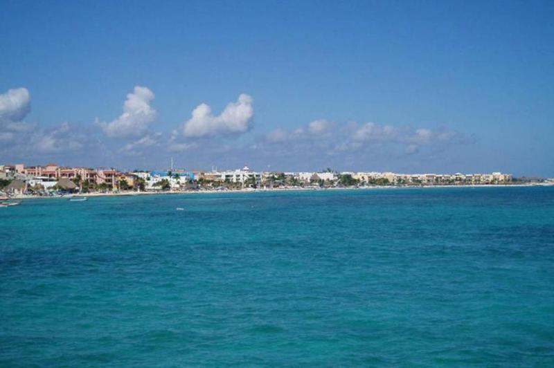 Complex Lemon Grove Kavos
